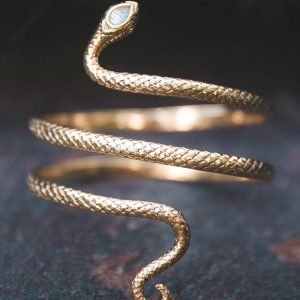 the-serpent-armulet-royal-codes-1