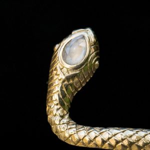 the-serpent-armulet-royal-codes-9